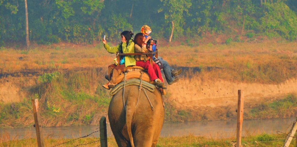 devaiah-mallangada-kalaiah-QU36RaoCM-Q-unsplash