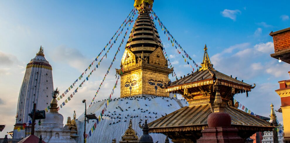 pexels-sagar-mali-2977768-4674320