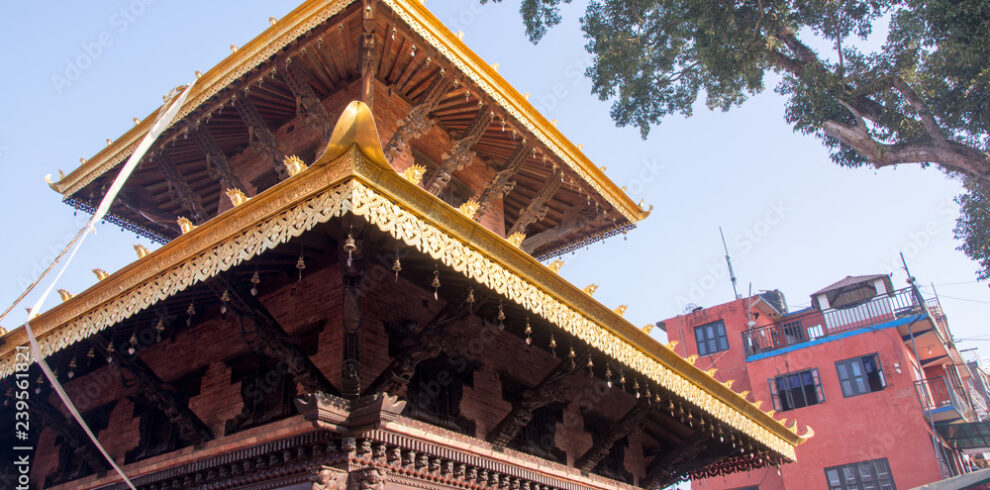 AdobeStock_239561821_Preview